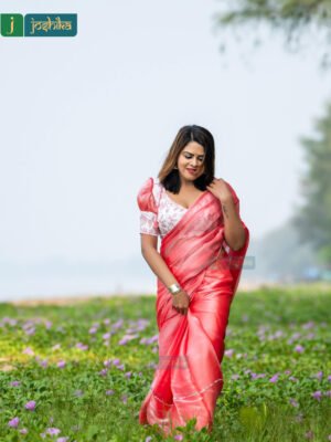 BURBERRY CHIFFON SAREE WITH UNSTITCHED EMBROIDERED ORGANZA BLOUSE MATERIAL